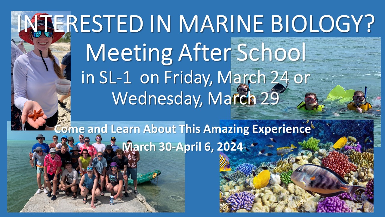 marine biology trip